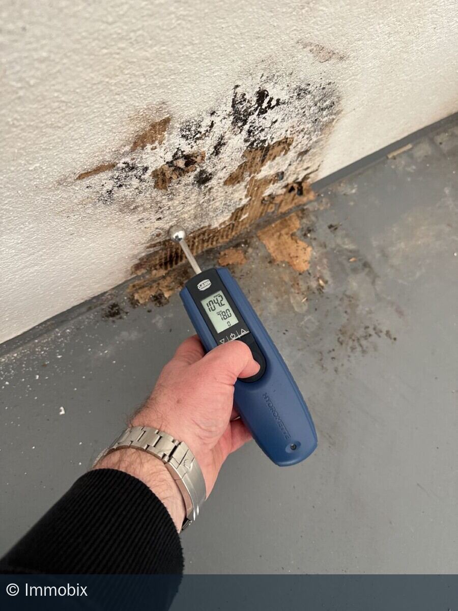 Feuchtemessung an einer Deckenfläche mit Wasserfleck mit einem Einstich-Messgerät