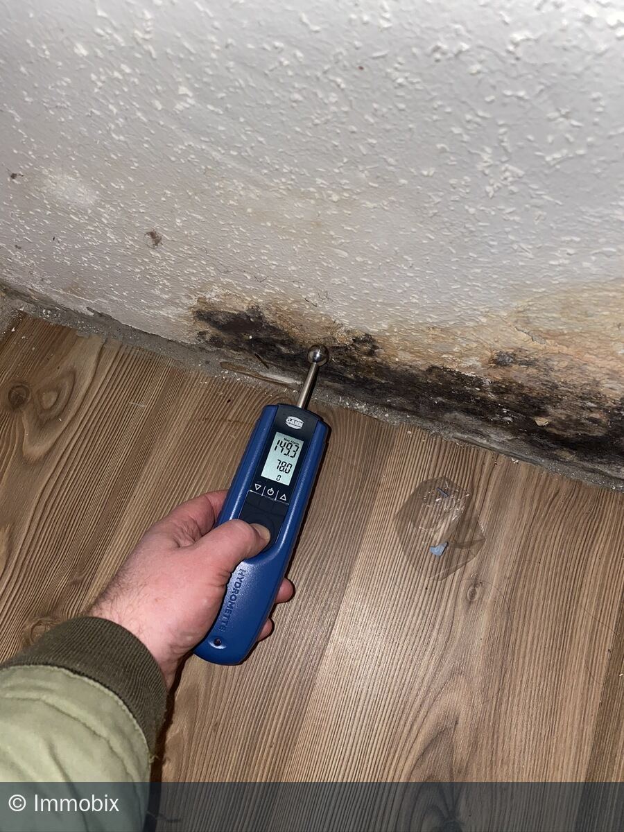 Messung der Materialfeuchte an einer Wand mit dunklem Schimmelbefall mit einem Feuchtemessgerät