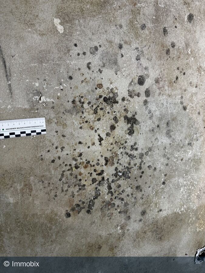 Schimmelbefall auf dem Estrich mit fachlichem Maßstab zur Dokumentation