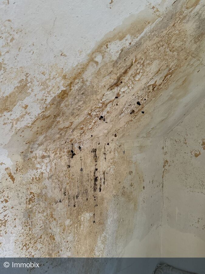Wasser- und Feuchteschaden mit Schimmelspuren an einer Wand