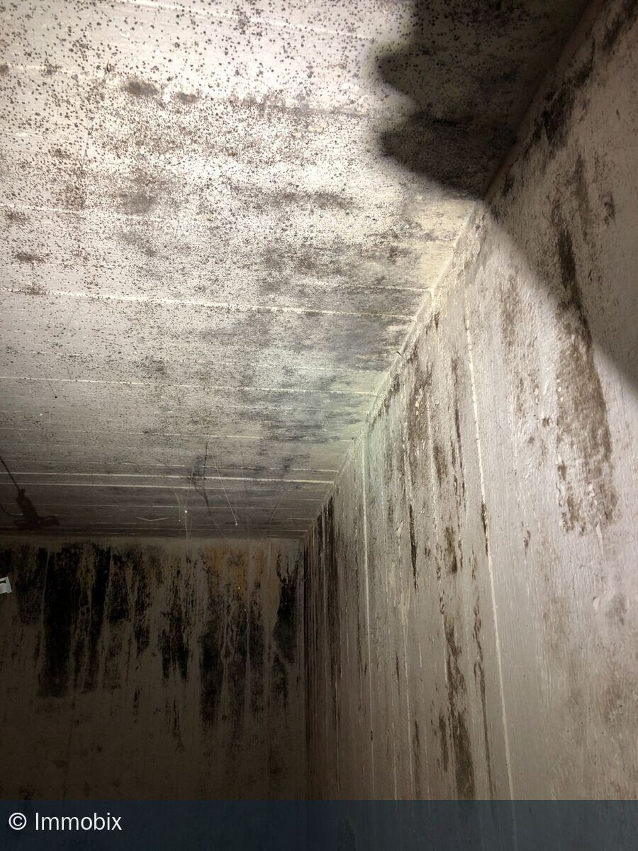 Ausgedehnter dunkler Schimmelbefall mit Feuchtespuren an der Wand-Decken-Kante eines Innenraums